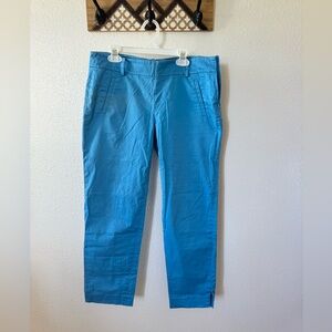 Ann Taylor Capri Pants, blue